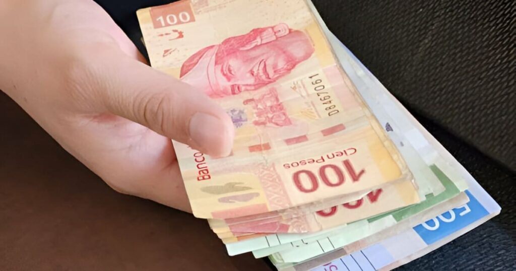 Tips de ahorro reducción de los gastos hormiga