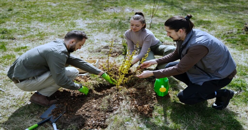 Grupo de personas realizando una reforestación
