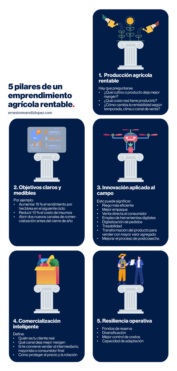 Infografía de 5 pilares de un emprendimiento agrícola rentable 