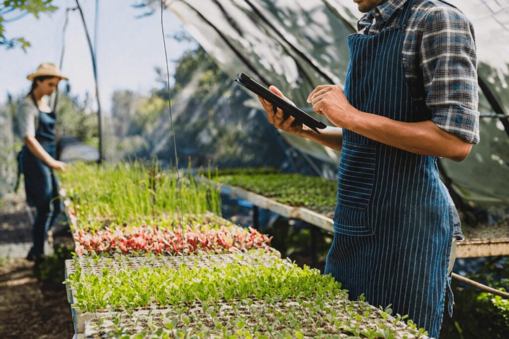 Invernadero con cultivos, una mujer trabajando y un hombre utilizando una tableta electrónica 
